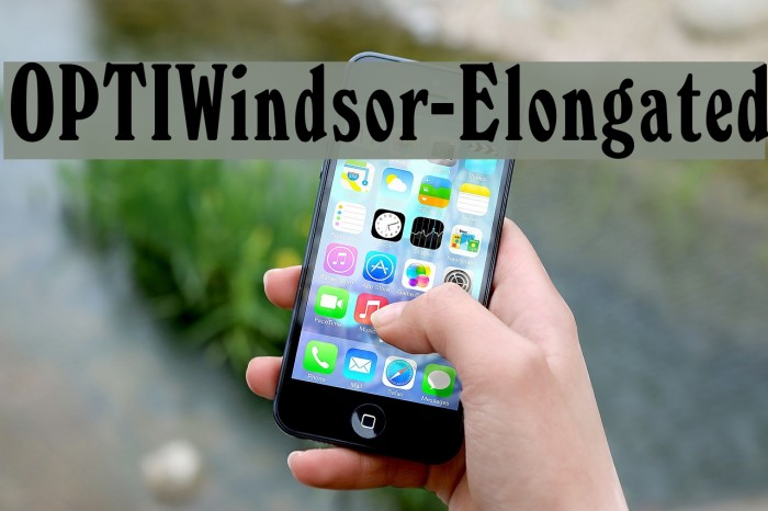 OPTIWindsor-Elongated Font examples