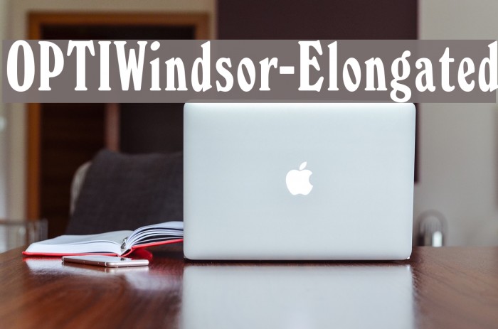 OPTIWindsor-Elongated Font examples