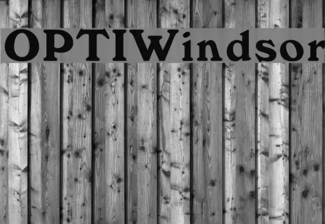 OPTIWindsor Font examples