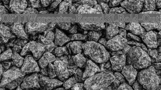 OPTIWorcester-RoundSLBold-Out خط examples