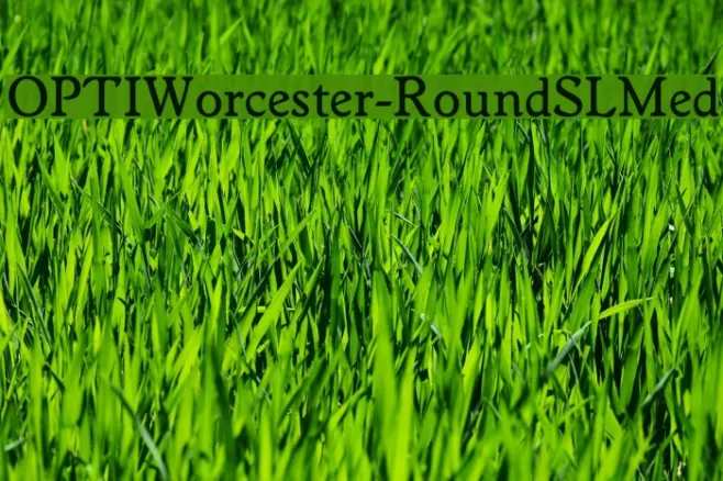 OPTIWorcester-RoundSLMed Example 1