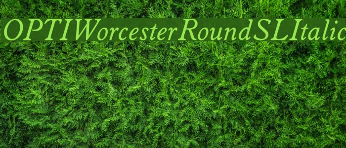 OPTIWorcesterRoundSLItalic Font examples