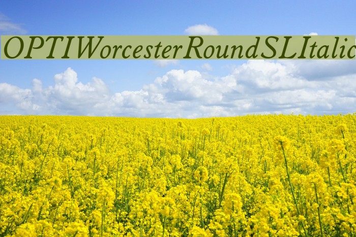 OPTIWorcesterRoundSLItalic Font examples