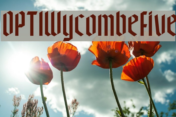 OPTIWycombeFive Font examples