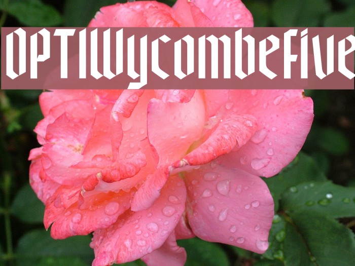 OPTIWycombeFive Font examples