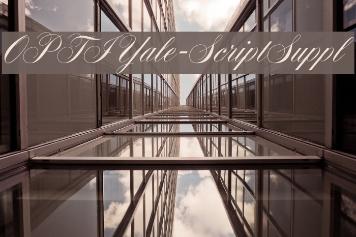 OPTIYale-ScriptSuppl Font examples