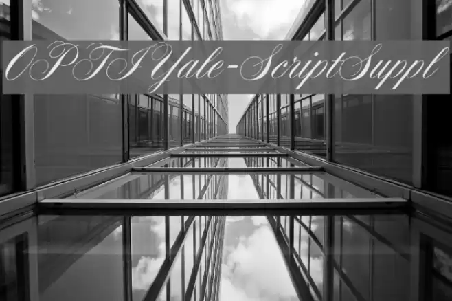OPTIYale-ScriptSuppl خط examples