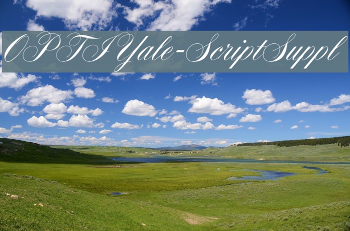 OPTIYale-ScriptSuppl Font examples