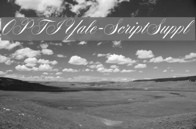 OPTIYale-ScriptSuppl خط examples
