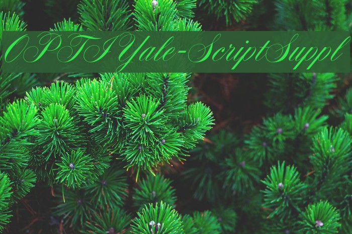 OPTIYale-ScriptSuppl Fonte examples