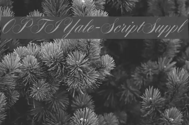 OPTIYale-ScriptSuppl خط examples