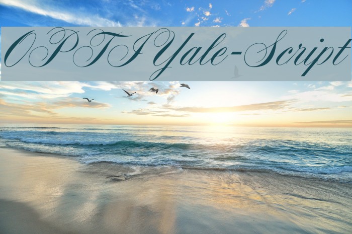 OPTIYale-Script Font examples