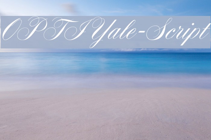 OPTIYale-Script Font examples