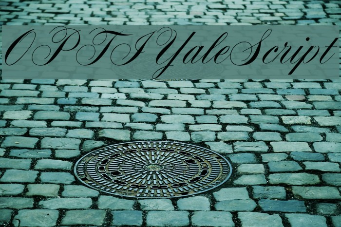 OPTIYaleScript Schriftart examples