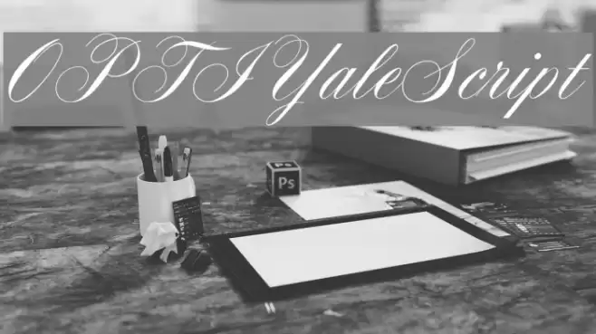 OPTIYaleScript Schriftart examples