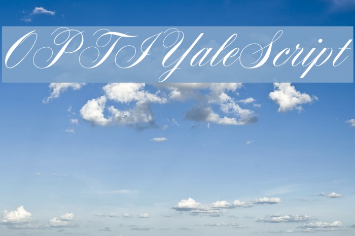 OPTIYaleScript Schriftart examples