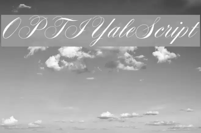 OPTIYaleScript Schriftart examples