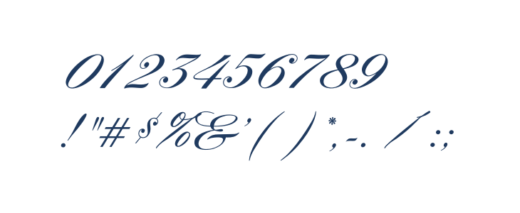 OPTIYork-Script Other Characters