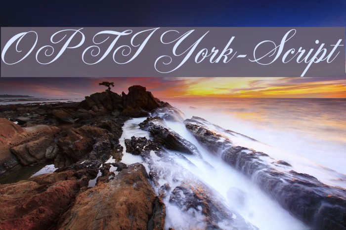 OPTIYork-Script Example 1