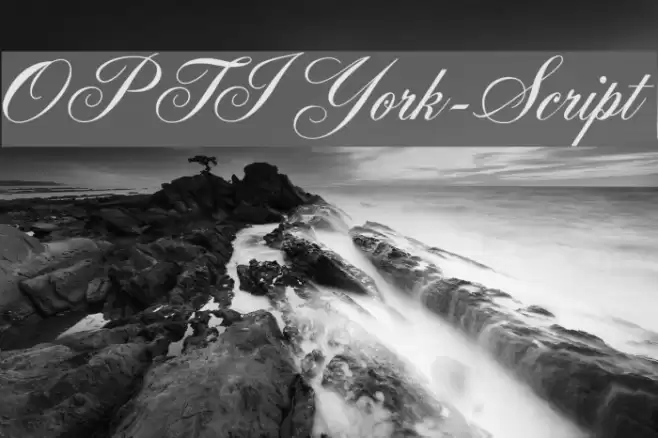 OPTIYork-Script Font examples