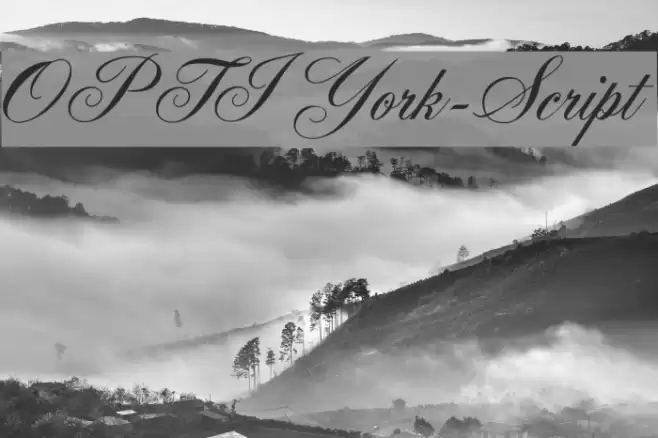 OPTIYork-Script Font examples