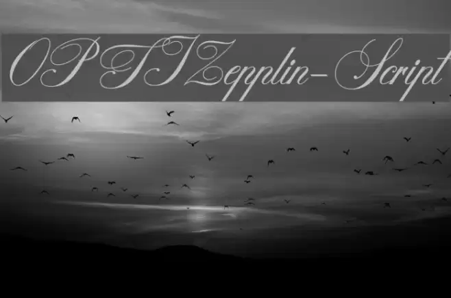 OPTIZepplin-Script Font examples
