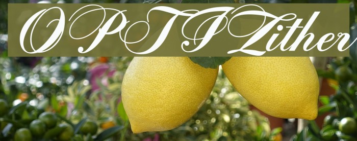 OPTIZither Example 3