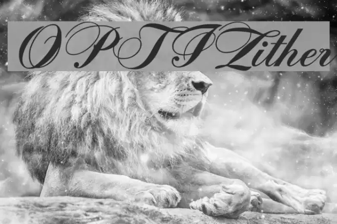 OPTIZither Font examples