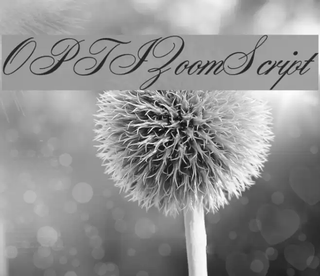 OPTIZoomScript Font examples