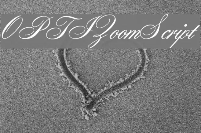 OPTIZoomScript Font examples