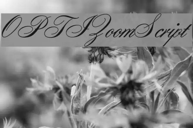 OPTIZoomScript Font examples