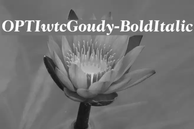 OPTIwtcGoudy-BoldItalic Font examples