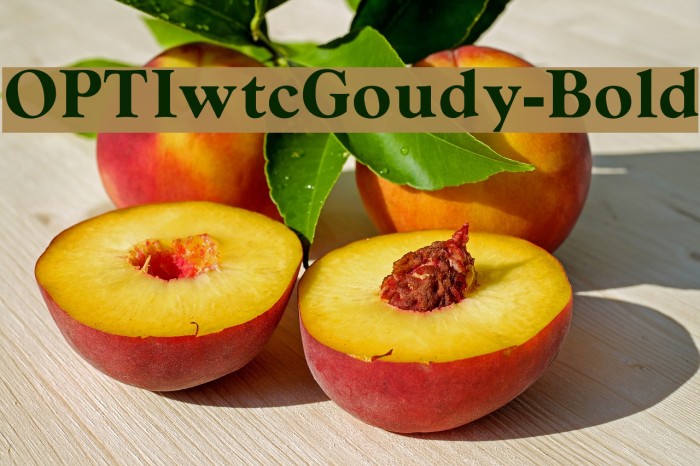 OPTIwtcGoudy-Bold Font examples