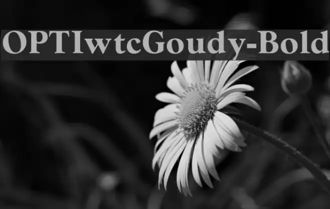 OPTIwtcGoudy-Bold Font examples