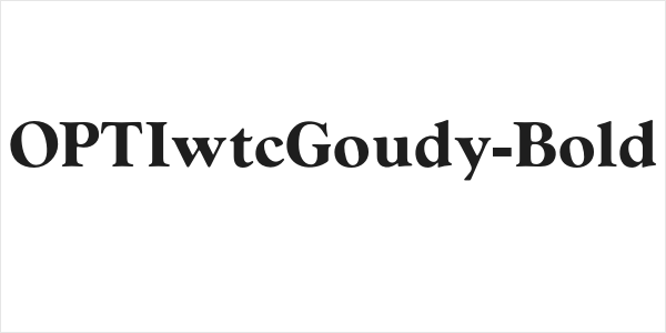 OPTIwtcGoudy-Bold Logo