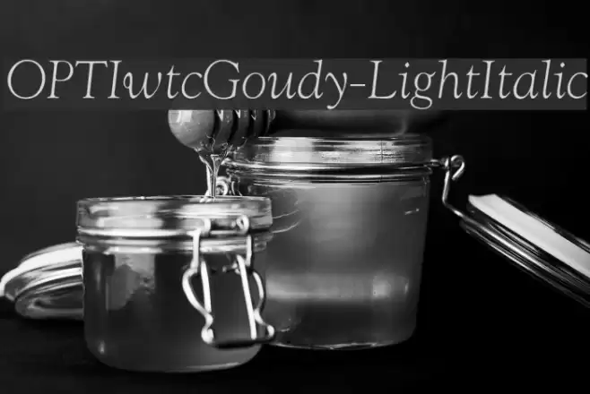 OPTIwtcGoudy-LightItalic Font examples