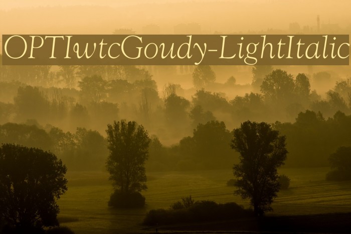 OPTIwtcGoudy-LightItalic Font examples