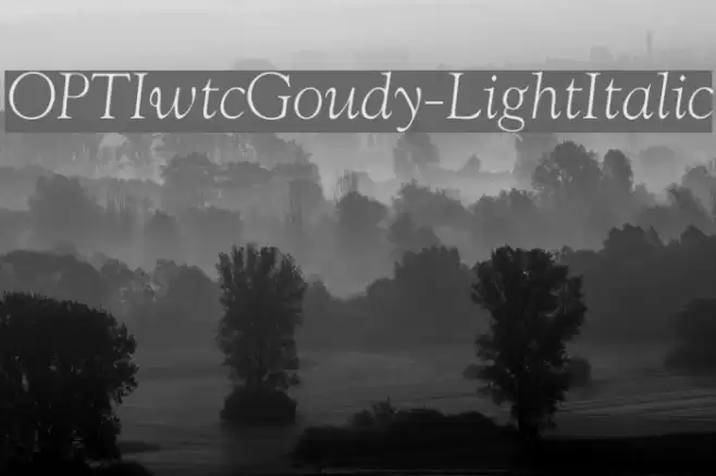 OPTIwtcGoudy-LightItalic Font examples