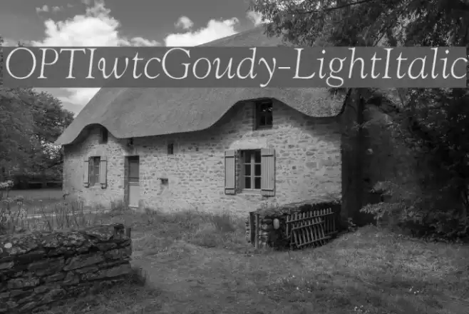 OPTIwtcGoudy-LightItalic Font examples