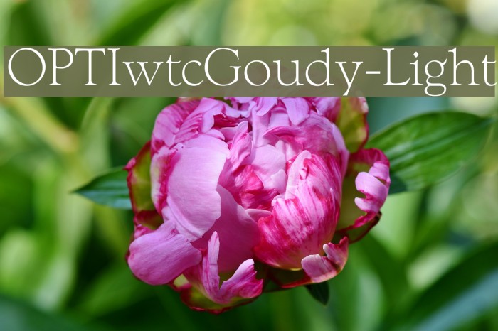 OPTIwtcGoudy-Light Font examples