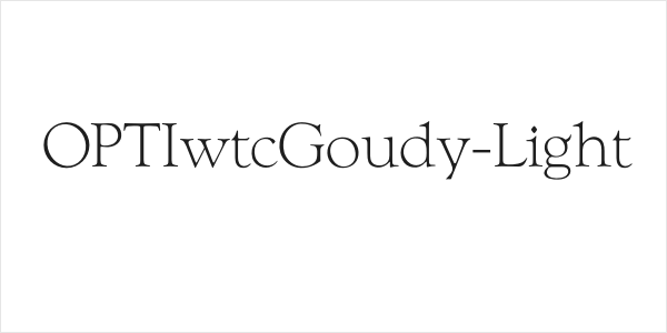 OPTIwtcGoudy-Light Logo