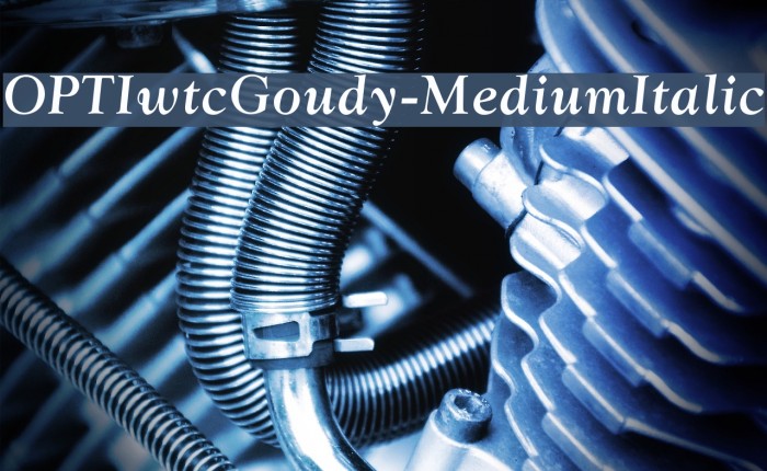OPTIwtcGoudy-MediumItalic Font examples