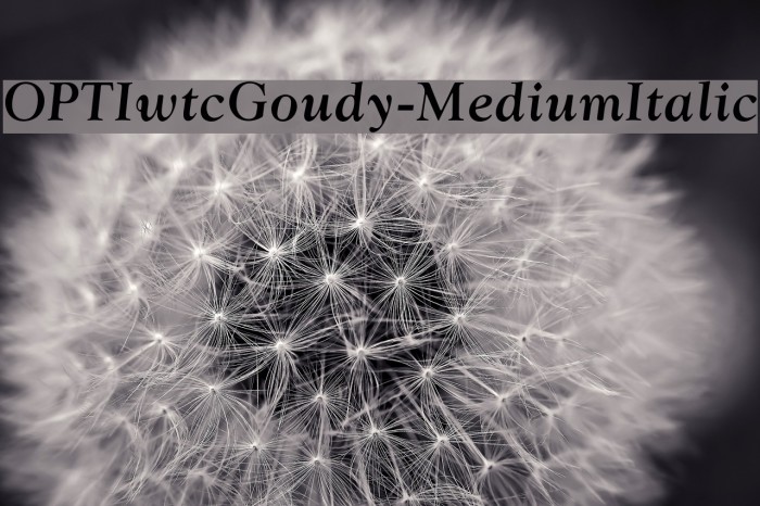 OPTIwtcGoudy-MediumItalic Font examples