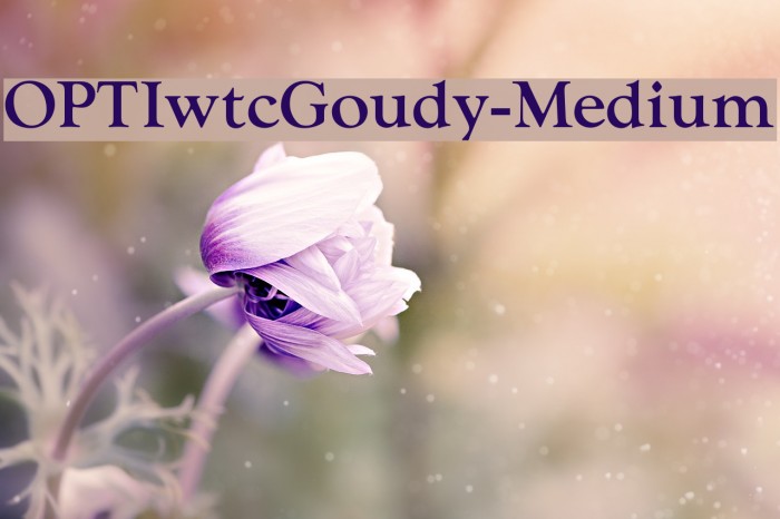 OPTIwtcGoudy-Medium Font examples