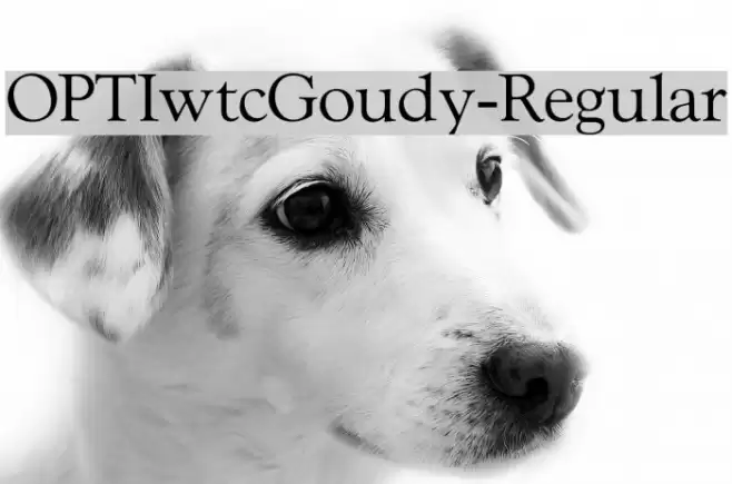 OPTIwtcGoudy-Regular  examples