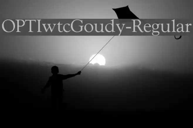 OPTIwtcGoudy-Regular  examples