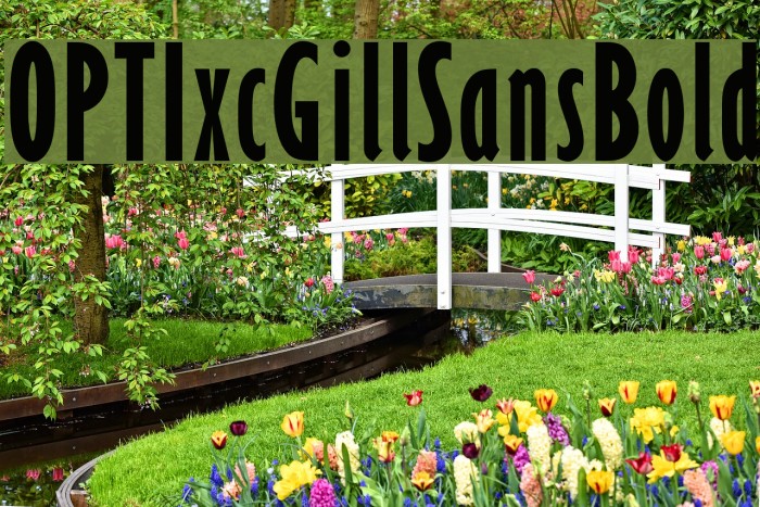 OPTIxcGillSansBold Font examples