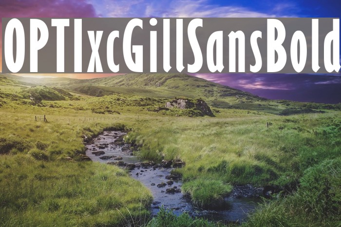 OPTIxcGillSansBold Font examples