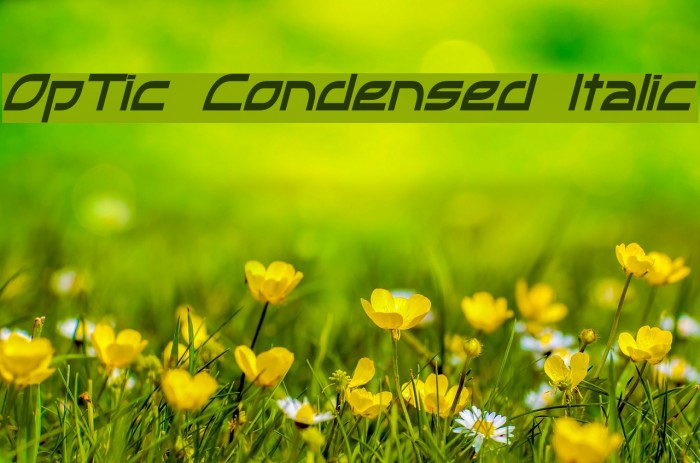 OpTic Condensed Italic Example 1