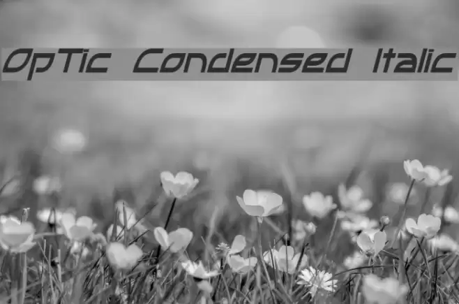 OpTic Condensed Italic Font examples